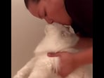 The pet cat can be seen getting kisses before every meal in this video. (Instagram/@stoop.chronicles) The pet cat can be seen getting kisses before every meal in this video. (Instagram/@stoop.chronicles)