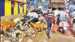 Dharavi computer engineer highlights waste dumping at night; BMC blames housing societies Dharavi computer engineer highlights waste dumping at night; BMC blames housing societies