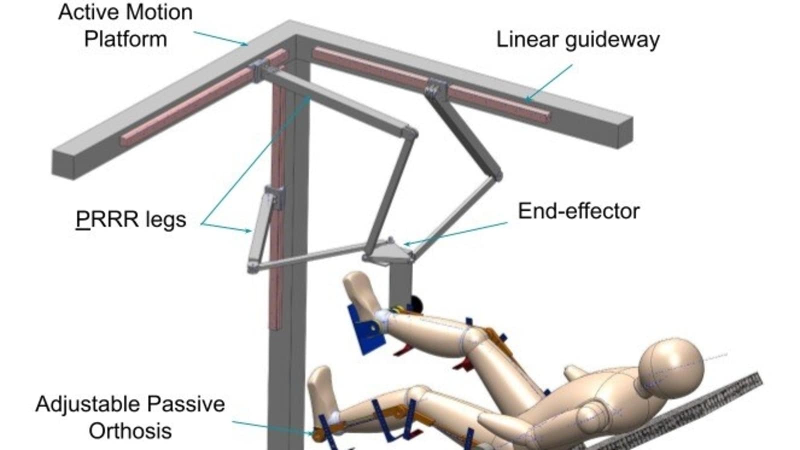 IIT Jodhpur researchers design robotic trainers for lower limb rehabilitation