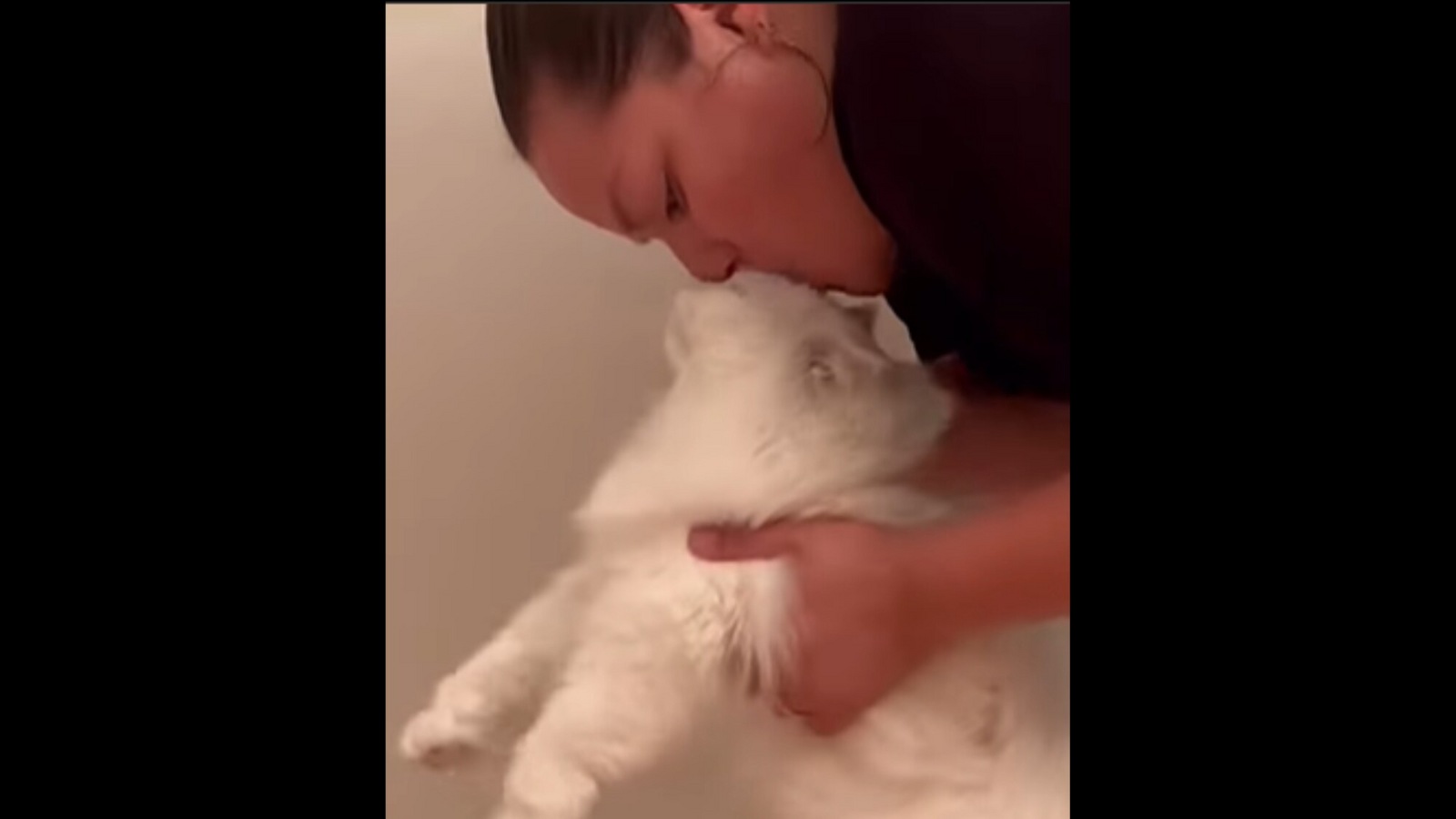 pet-cat-meows-till-she-gets-kisses-before-every-meal-watch-cute-video