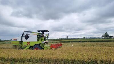 Farmers in Punjab prefer subsidies on super seeders to help with paddy stubble management. (HT File) Farmers in Punjab prefer subsidies on super seeders to help with paddy stubble management. (HT File)