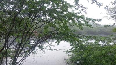 Several environmentalists also shared pictures and video of the alleged leachate flowing into the forest area; however, HT could not independently verify the authenticity of said images. (HT Photo)