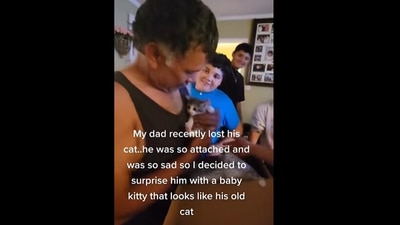 Man got surprised with a kitten. (Instagram/@elliottspeaks) Man got surprised with a kitten. (Instagram/@elliottspeaks)