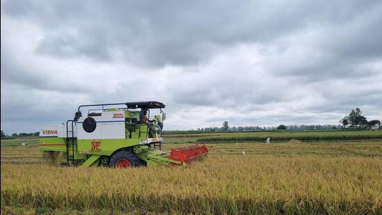 Farmers in Punjab prefer subsidies on super seeders to help with paddy stubble management. (HT File)