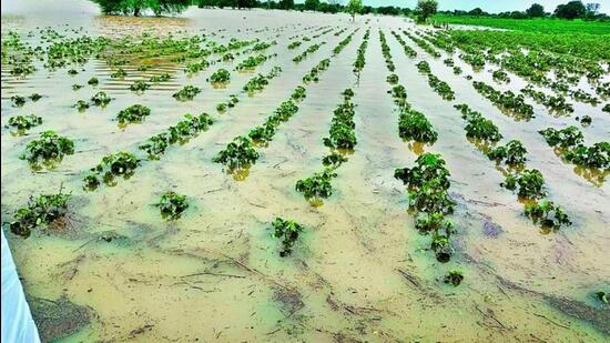 look-at-the-map-of-tamilnadu-showing-annual-rainfall-and-answer-the