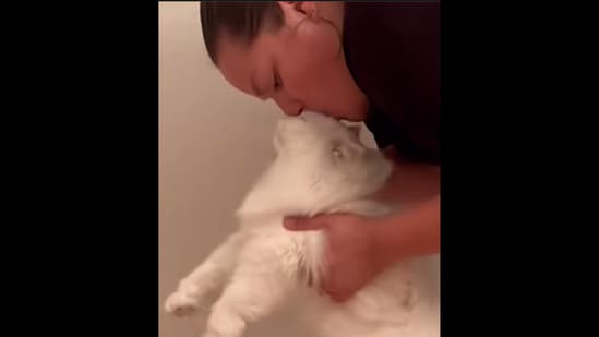 The pet cat can be seen getting kisses before every meal in this video.&nbsp;(Instagram/@stoop.chronicles)