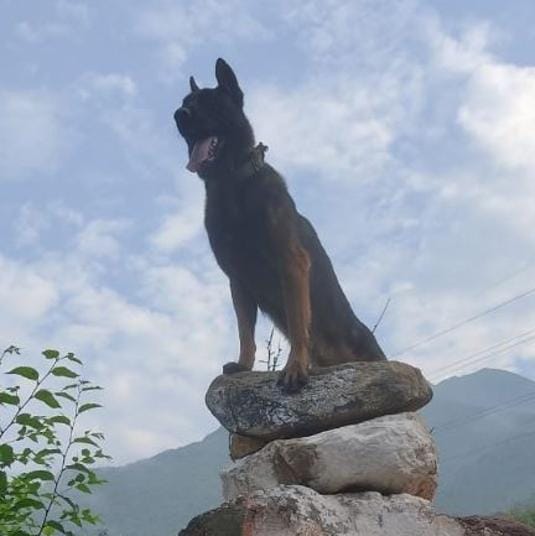On Wednesday, army officials said that Zoom was in stable condition after he underwent surgery and the next 24-48 hours were critical. On Wednesday, army officials said that Zoom was in stable condition after he underwent surgery and the next 24-48 hours were critical.