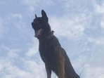 On Wednesday, army officials said that Zoom was in stable condition after he underwent surgery and the next 24-48 hours were critical. On Wednesday, army officials said that Zoom was in stable condition after he underwent surgery and the next 24-48 hours were critical.
