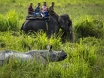 Tourists on an elephant watch a pair of mother and calf one horned Rhinoceros in the Pobitora wildlife sanctuary, outskirts of Guwahati, northeastern Assam state, India, October 11.&nbsp;