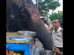 The elephant was seen having pani puri.(Twitter/@ipskabra) The elephant was seen having pani puri.(Twitter/@ipskabra)