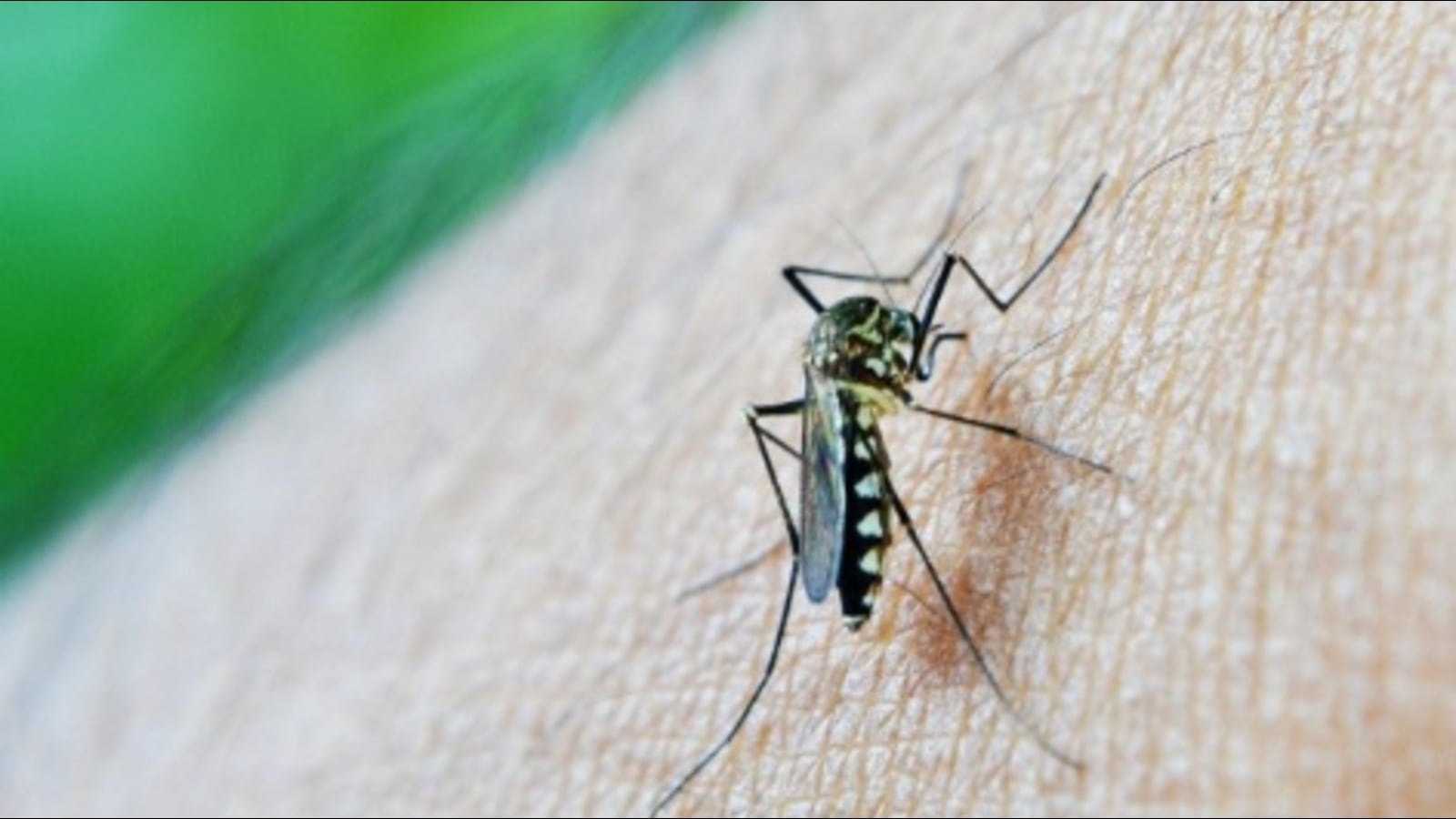 Soaring platelet demand after spike in dengue cases