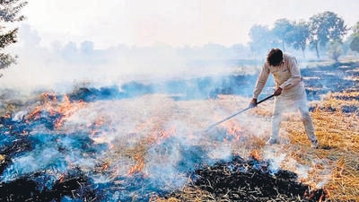 A farmer setting a paddy stubble on fire in Punjab. Stubble fires are a major cause of air pollution in Delhi-NCR. (HT Photo)
