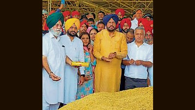 The department took break on its operations to reclaim land at the onset of paddy cultivation season. (HT file photo) The department took break on its operations to reclaim land at the onset of paddy cultivation season. (HT file photo)