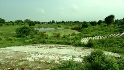 As per the report submitted by the DM, there are 67 ponds under the Noida authority, of which 54 or 81% are encroached upon. (Sunil Ghosh/HT Photo) As per the report submitted by the DM, there are 67 ponds under the Noida authority, of which 54 or 81% are encroached upon. (Sunil Ghosh/HT Photo)