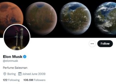 Elon Musk changed his Twitter bio (Twitter/@elonmusk)