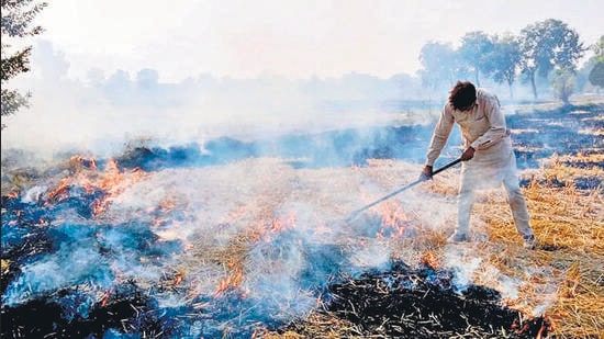 A farmer setting a paddy stubble on fire in Punjab. Stubble fires are a major cause of air pollution in Delhi-NCR. (HT Photo) A farmer setting a paddy stubble on fire in Punjab. Stubble fires are a major cause of air pollution in Delhi-NCR. (HT Photo)