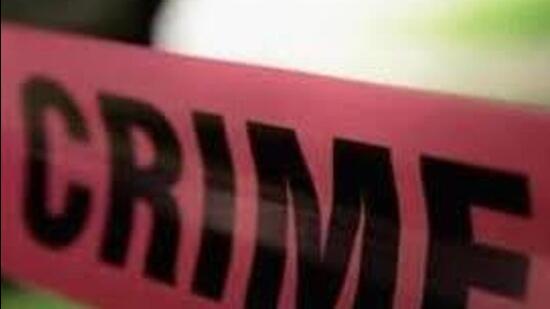 On October 8, the complainant, Kavita Bansal of Jalandhar, was standing on the Mall Road when the two bike-borne accused snatched her handbag (HT File)