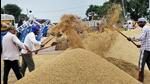 A prolonged heatwave in March crimped wheat output, prompting the government to ban export in May. (File image) A prolonged heatwave in March crimped wheat output, prompting the government to ban export in May. (File image)