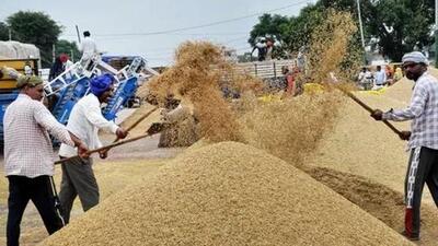 A prolonged heatwave in March crimped wheat output, prompting the government to ban export in May. (File image)