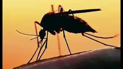 Malaria control units of the health department conducted anti-larvae spray in different areas. (Pic for representation)