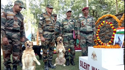 Army personnel with the dog squad pay tributes to its canine warrior dog 'Zoom', who succumbed to bullet injuries received during the combat operation in the Anantnag district earlier this week. (ANI)