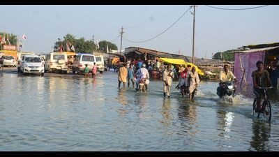 Pilgrims wading through knee-deep waters near Sangam on Friday. (HT Photo) Pilgrims wading through knee-deep waters near Sangam on Friday. (HT Photo)