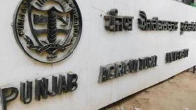 The apiculture centre of Punjab Agricultural University (PAU), Ludhiana, has been conferred with the “Best Research Centre Award. (HT FILE) The apiculture centre of Punjab Agricultural University (PAU), Ludhiana, has been conferred with the “Best Research Centre Award. (HT FILE)