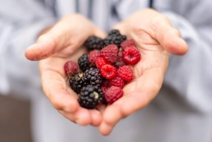 Berries: Strawberries, blackberries, raspberries, and cranberries are loaded with antioxidants (Unsplash) Berries: Strawberries, blackberries, raspberries, and cranberries are loaded with antioxidants (Unsplash)