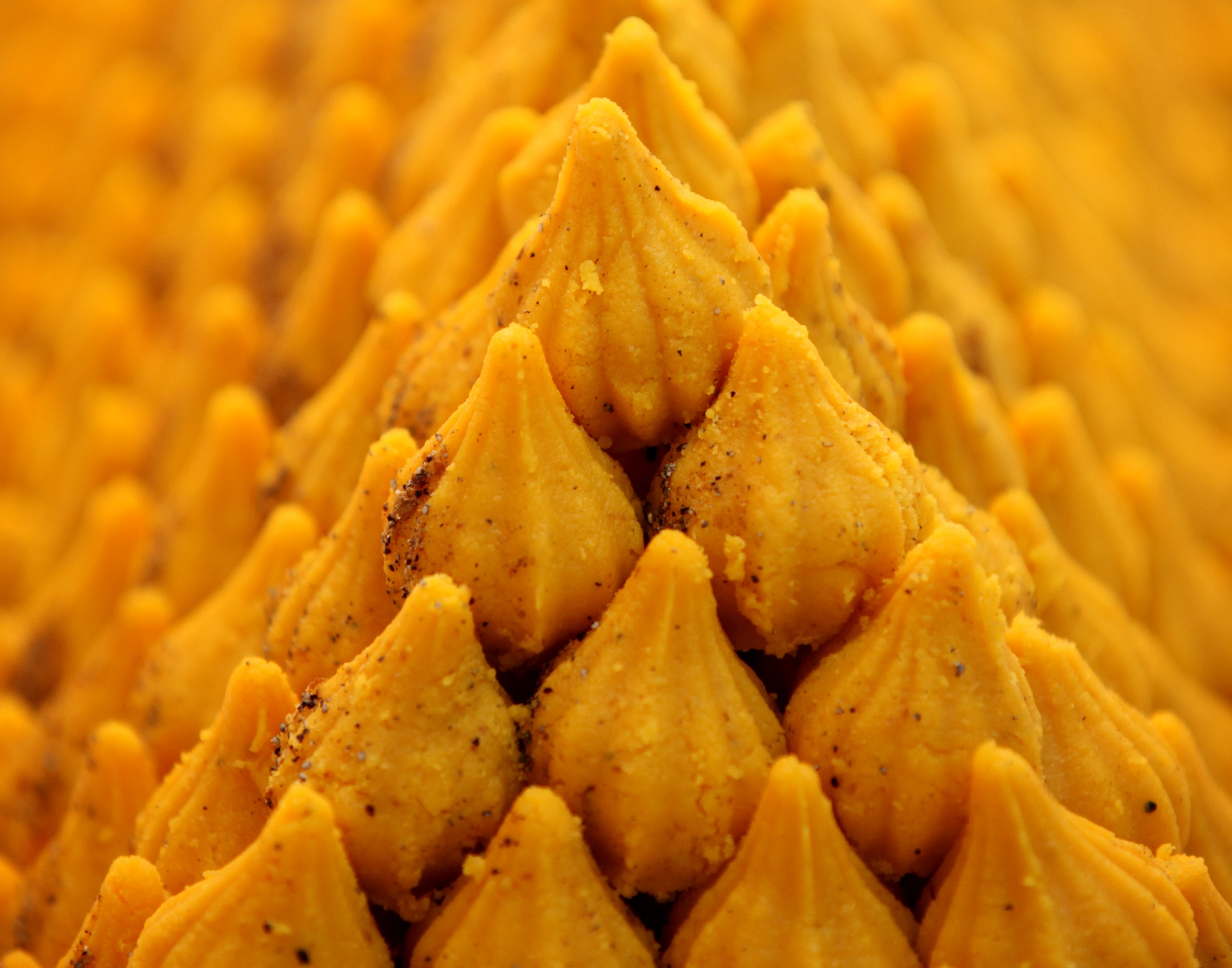 Modak is a sweet from Maharashtra. (Hindustan Times) Modak is a sweet from Maharashtra. (Hindustan Times)