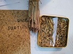 An agro-waste based microbial proof industrial viable particleboards patented by IIT Ropar.(Singh Rahul Sunilkumar) An agro-waste based microbial proof industrial viable particleboards patented by IIT Ropar.(Singh Rahul Sunilkumar)
