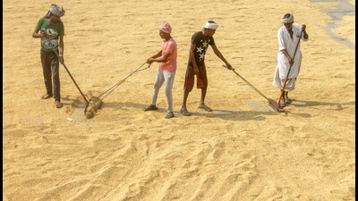 In 2014, India’s hunger score was 28.2, compared to 29.1 this year (PTI) In 2014, India’s hunger score was 28.2, compared to 29.1 this year (PTI)
