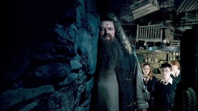Robbie Coltrane, Daniel Radcliffe, Emma Watson and Rupert Grint in a still from a Harry Potter movie.