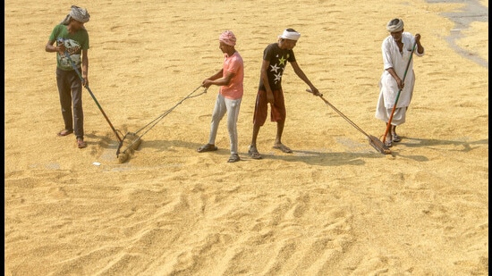 In 2014, India’s hunger score was 28.2, compared to 29.1 this year (PTI) In 2014, India’s hunger score was 28.2, compared to 29.1 this year (PTI)