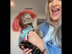 This is how the cat reacts upon being dressed up as the Chucky doll. (Instagram/@dontstopmeowing) This is how the cat reacts upon being dressed up as the Chucky doll. (Instagram/@dontstopmeowing)