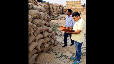 Paddy procurement scam: Two government officials suspended in Karnal (HT File)