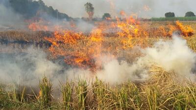 While seven cases of stubble burning were witnessed in Ludhiana on October 16, 27 and 16 incidents of stubble burning were reported on the same day in 2021 and 2020, respectively. Agriculture department officer Sandeep also discussed in detail about various technical options which are fruitful for in-situ crop residue management. (HT FILE)