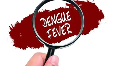 A single person can be infected with dengue fever more than once. It is a viral disease, transmitted by the infective bite of a particular mosquito known as Aedes Aegypti. (Shutterstock) A single person can be infected with dengue fever more than once. It is a viral disease, transmitted by the infective bite of a particular mosquito known as Aedes Aegypti. (Shutterstock)