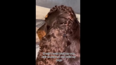 The image, taken from the viral video, shows the dog flaunting her braids. (Instagram/@doggosdoingthings) The image, taken from the viral video, shows the dog flaunting her braids. (Instagram/@doggosdoingthings)