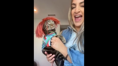 This is how the cat reacts upon being dressed up as the Chucky doll. (Instagram/@dontstopmeowing) This is how the cat reacts upon being dressed up as the Chucky doll. (Instagram/@dontstopmeowing)
