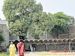 Delhiwale