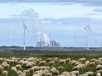 A photo taken on October 16, 2022 shows a herd of sheep near the coal-fired power plant Neurath in Luetzerath, western Germany. (AFP) A photo taken on October 16, 2022 shows a herd of sheep near the coal-fired power plant Neurath in Luetzerath, western Germany. (AFP)