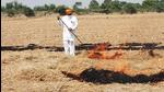 Farm fires are raging on in Punjab, with the state on Monday witnessing 403 incidents --- the highest single-day spike this season. (ANI file photo) Farm fires are raging on in Punjab, with the state on Monday witnessing 403 incidents --- the highest single-day spike this season. (ANI file photo)