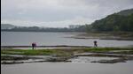 The four dams Khadakwasla, Panshet, Varasgaon and Temghar have reached full capacity. (REPRESENTATIVE PHOTO) The four dams Khadakwasla, Panshet, Varasgaon and Temghar have reached full capacity. (REPRESENTATIVE PHOTO)