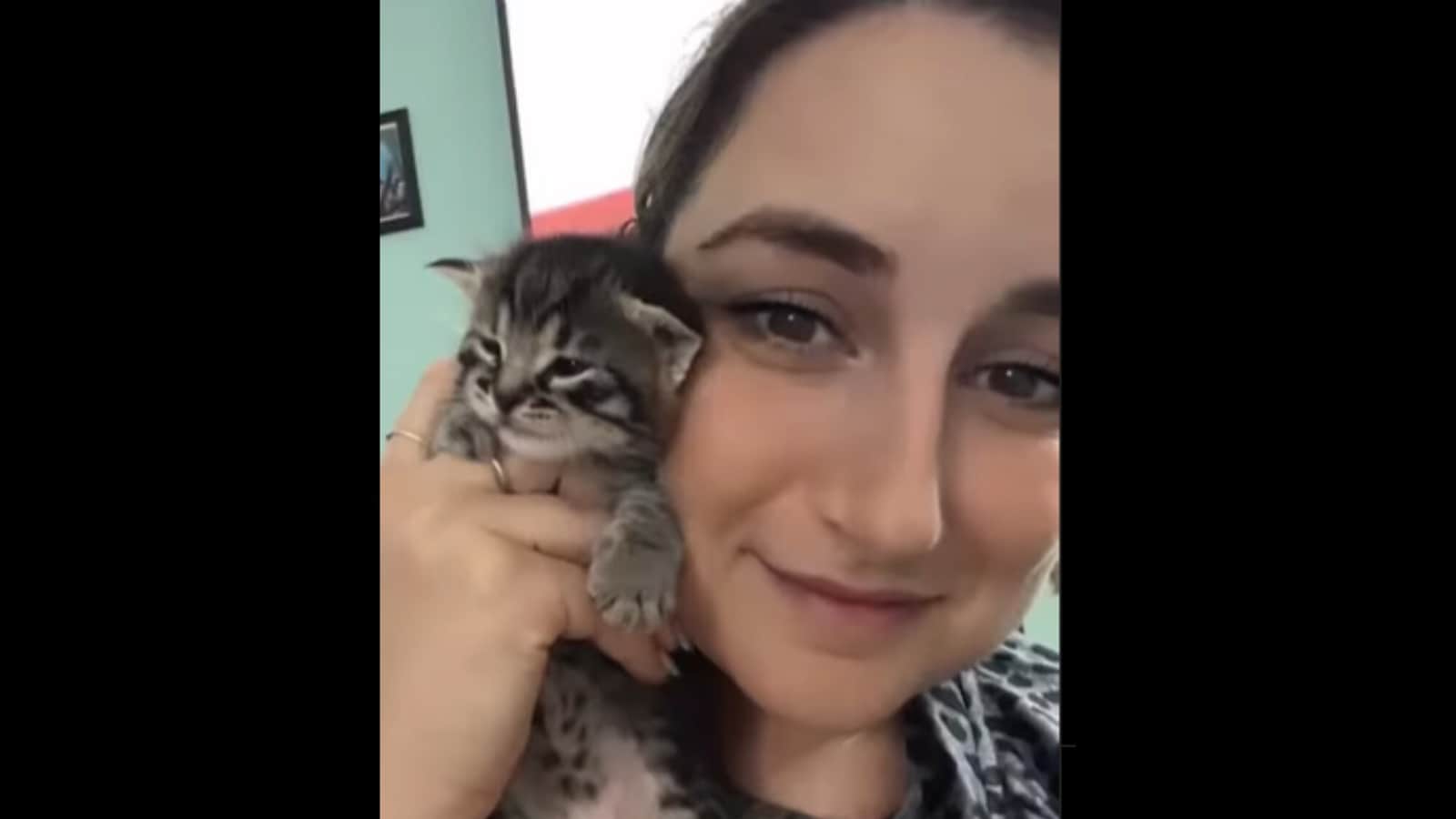Cute little kitten has a lot to 'say' when pet mom holds it. Watch ...