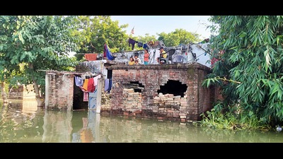 Children sit on the roof as the rainwater entered their house after the water level of the Ghaghara and Rapti river reach the danger mark, in Gorakhpur on Sunday. (ANI Photo)
