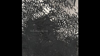 An image from Still Life by Anoushka Khan (anoushkakhan.com) An image from Still Life by Anoushka Khan (anoushkakhan.com)
