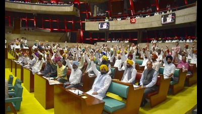 Punjab CM Bhagwant Mann along with ministers and MLAs after winning the confidence motion. (HT File Photo)