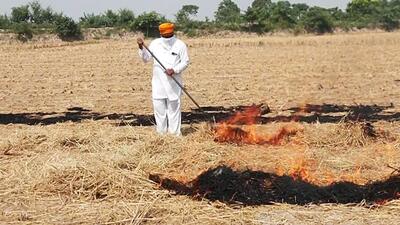 Farm fires are raging on in Punjab, with the state on Monday witnessing 403 incidents --- the highest single-day spike this season. (ANI file photo) Farm fires are raging on in Punjab, with the state on Monday witnessing 403 incidents --- the highest single-day spike this season. (ANI file photo)