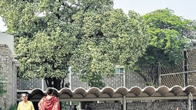Delhiwale Delhiwale