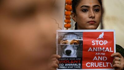 Animal rights activists display placards with messages to create awareness to protect stray animals after reports of Kerala government asking top court to euthanize aggressive and rabies-infected stray dogs (AFP File Photo) Animal rights activists display placards with messages to create awareness to protect stray animals after reports of Kerala government asking top court to euthanize aggressive and rabies-infected stray dogs (AFP File Photo)